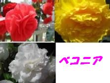 b0086427_23424715.jpg