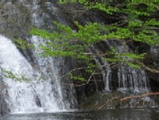 b0086427_2349036.jpg