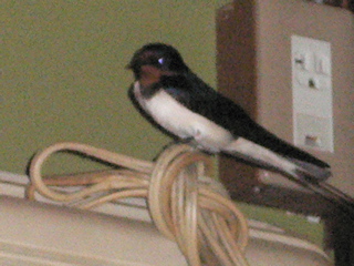 b0044528_22102421.jpg