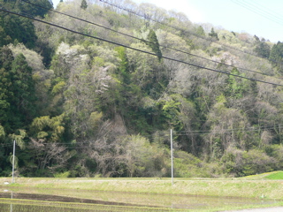 b0044528_2285083.jpg