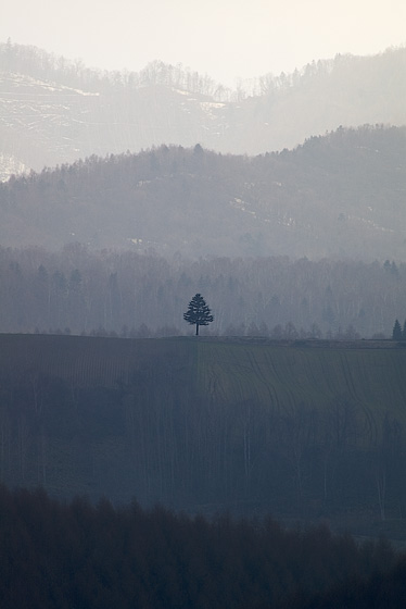 e0025030_14485760.jpg