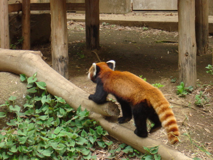 b0026633_22392235.jpg