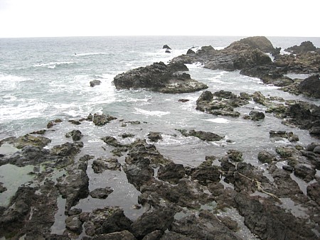 d0001533_21464510.jpg