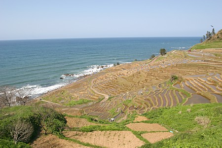 d0001533_22152747.jpg