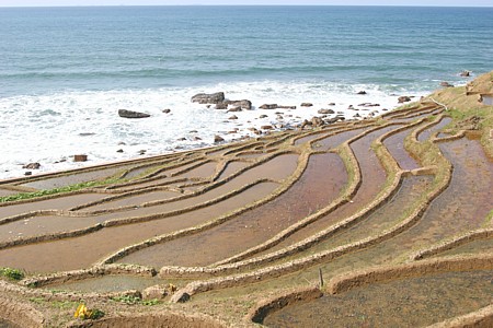 d0001533_22155085.jpg