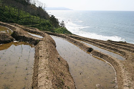 d0001533_22161154.jpg