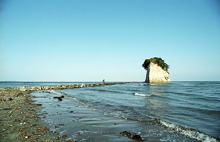 d0001533_22261494.jpg