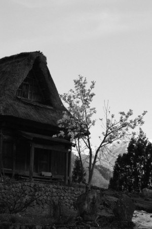 d0001533_2251531.jpg