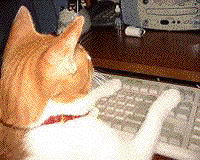 c0026846_137882.gif