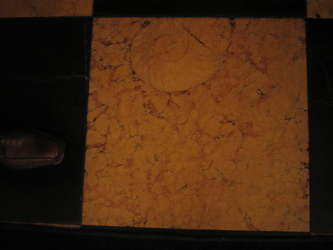 b0056662_03821100.jpg