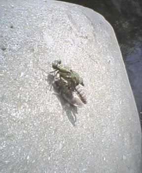 f0083262_11533.jpg
