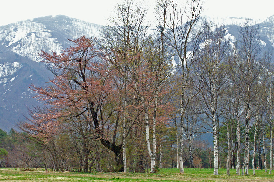 e0006964_12104930.jpg