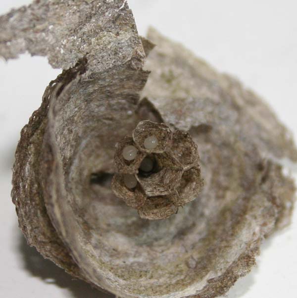 b0008366_23251647.jpg