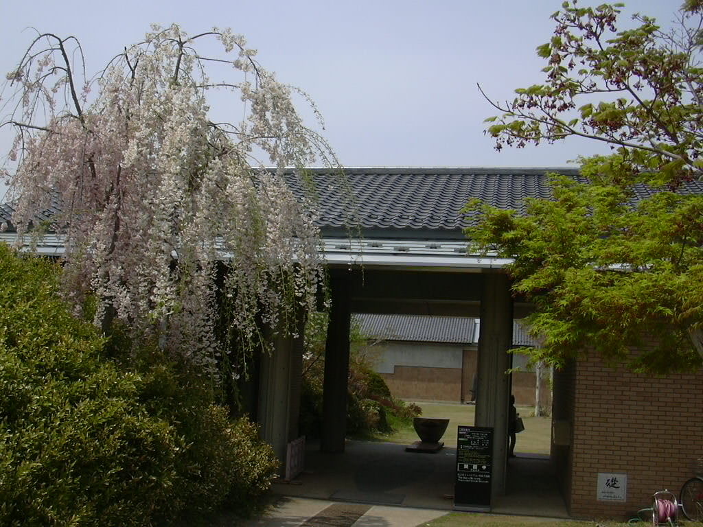 d0048366_685291.jpg