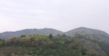 c0001269_11283365.jpg