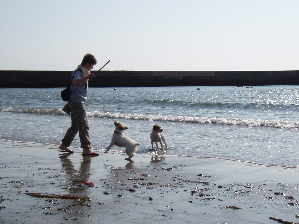f0045872_1361244.jpg