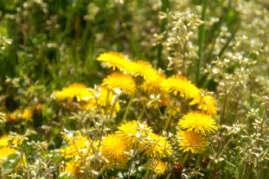 f0093180_1423311.jpg
