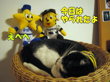 b0041182_0421394.jpg