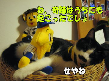b0041182_0451416.jpg