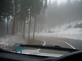 a0003089_1551543.jpg