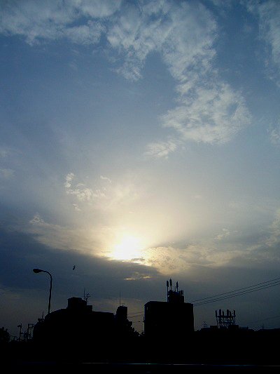 b0080789_22404.jpg
