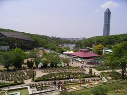 f0060589_2141518.jpg