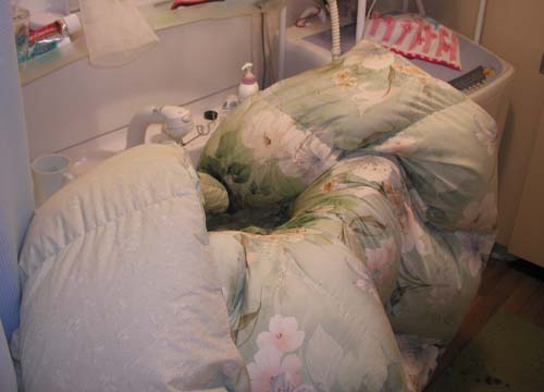 e0060591_2281913.jpg
