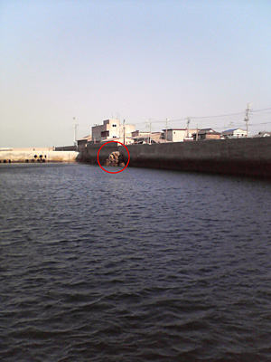 c0060593_10384456.jpg