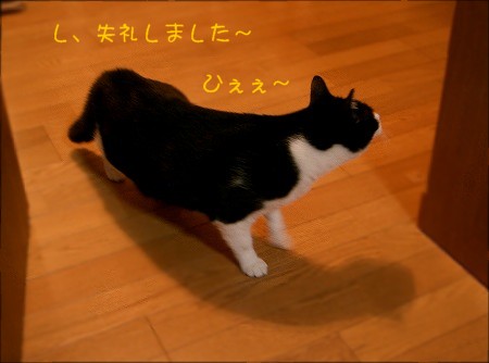 d0005397_2305359.jpg