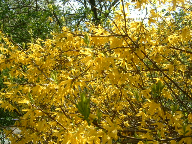 e0028897_23212291.jpg