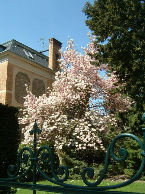 e0028897_23235661.jpg