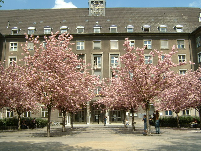 e0028897_2325507.jpg
