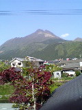 b0048998_2383588.jpg