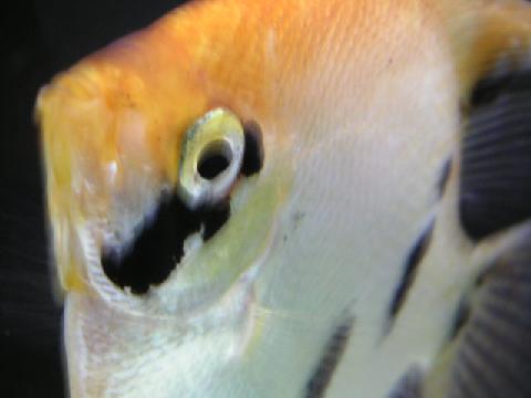 a0018200_12242213.jpg