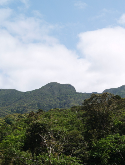 e0089001_2331414.jpg