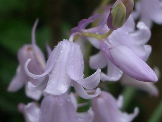 b0061107_1752652.jpg