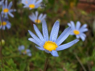 b0061107_175313.jpg