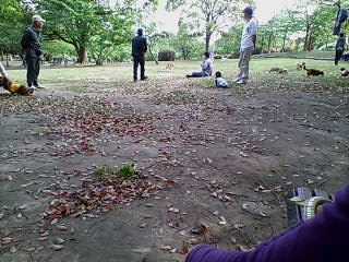 e0032508_19423658.jpg