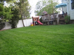 b0059509_9365432.jpg