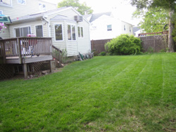 b0059509_9373360.jpg