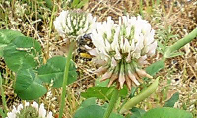 c0012810_1734302.jpg