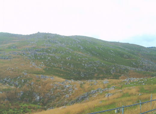 c0017311_10502446.jpg