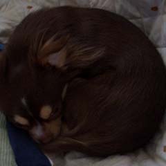 c0036617_182355.jpg