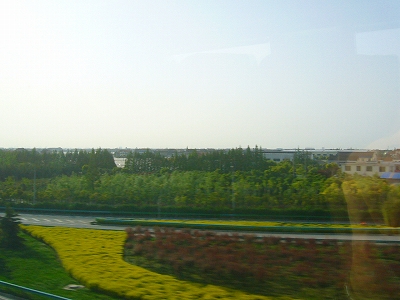 f0095618_2225929.jpg