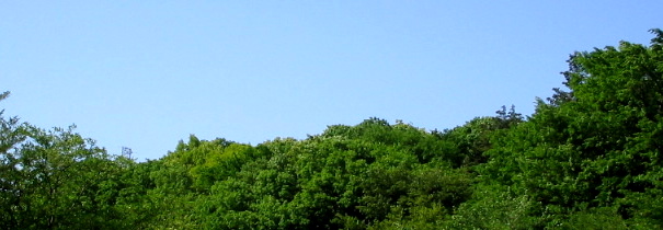 f0107724_17243881.jpg