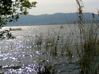 e0034641_2144894.jpg