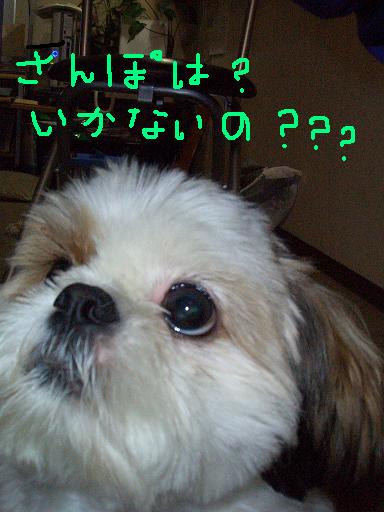 f0067245_20225383.jpg