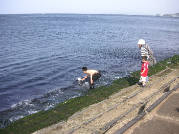 a0003150_6534815.jpg