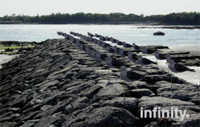 c0069552_21344411.jpg