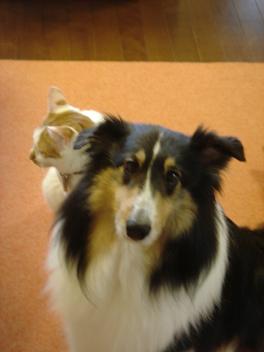 f0046854_19513264.jpg